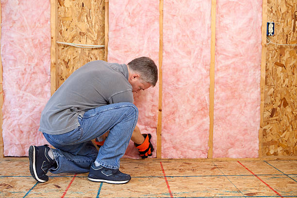 Best Fiberglass Insulation in Adrian, MN